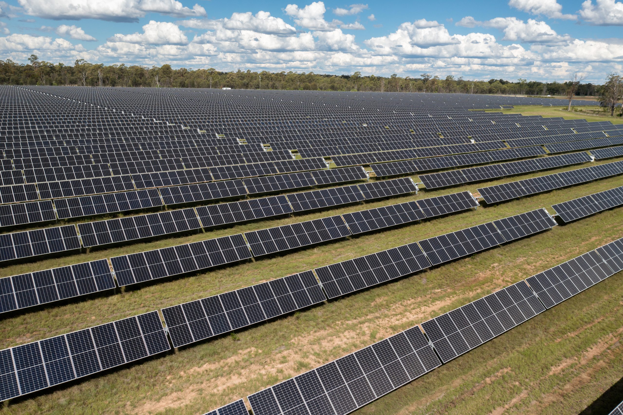 A photo of the Western Downs Green Power Hub Solar Farm, showing solar panels over a wide expanse with bushland in the distance